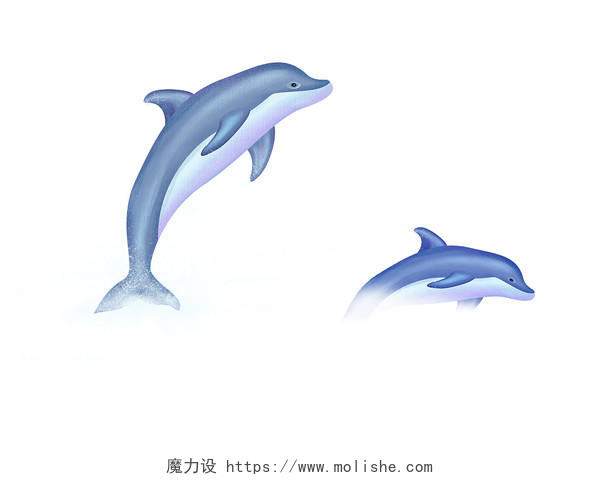 彩色手绘卡通海豚海洋动物元素PNG素材